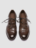 CALIXTE 079 - Brown Leather Oxford Shoes